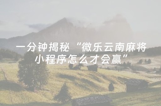 玩家必备教程“哥哥跑得快微信小程序怎么能拿好牌（专用辅牌神器免安装）