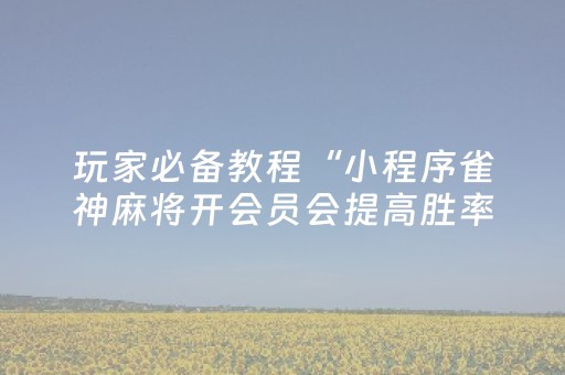 终于发现“雀神广东麻雀提高胜率技巧（专用辅牌神器免安装）