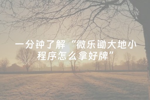 玩家实测“免家装的麻将机设备是不是真的（助赢神器通用版）