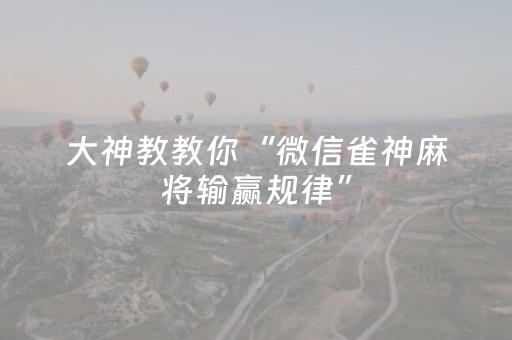 实测教程“微信小程序微乐麻将胡牌神器（助赢神器通用版）