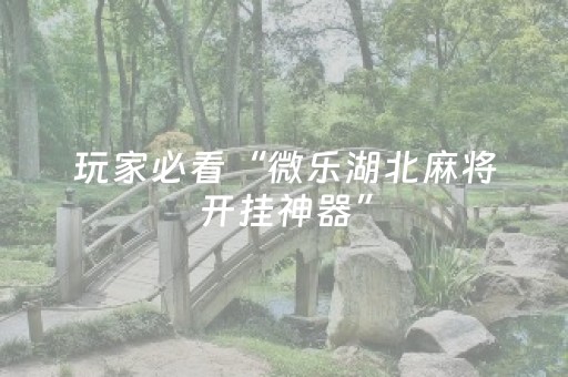 实测辅助“中至棋牌胜率控制（专用辅牌神器免安装）