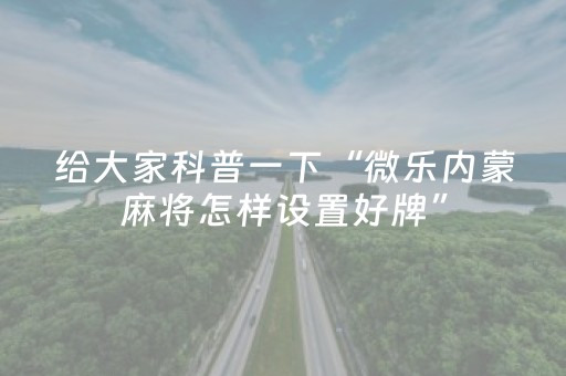 必看教程！“微乐海南麻将胡牌器”（详细透视教程）-哔哩哔哩
