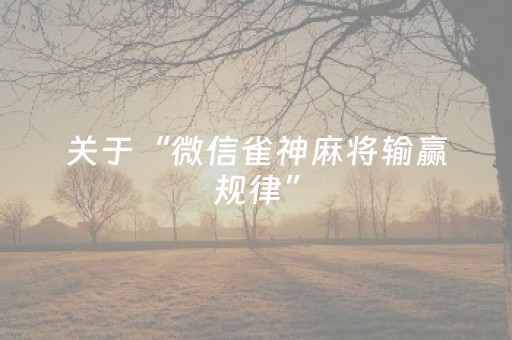 终于发现“微信拼三张辅助视频（专用辅牌神器免安装）