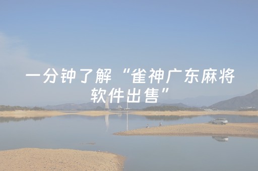 玩家必看攻略“手机微乐麻将100能赢的神器（专用辅牌神器免安装）