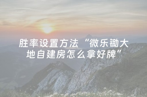 终于发现“手机打牌外挂揭秘（专用辅牌神器免安装）