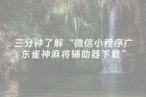 胜率设置方法“红包扫雷埋雷尾数玩法控制0-9辅助软件神器”（详细透视教程）-哔哩哔哩