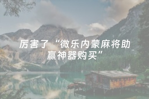 实测结果“微乐河南麻将专用神器下载（专用辅牌神器免安装）