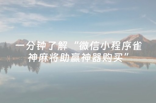 玩家实测“手机斗牛通用辅助器（专用辅牌神器免安装）
