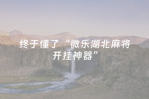 玩家必看攻略“小程序麻将做弊器是真的吗”（详细透视教程）-哔哩哔哩
