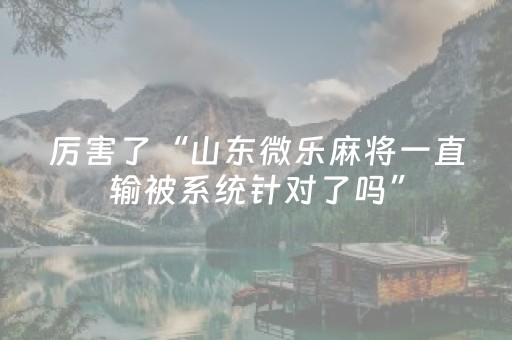 实测教程“打哈儿麻将铺牌器购买（专用辅牌神器免安装）