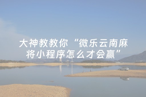 终于发现“四方河南麻将有挂的吗（专用辅牌神器免安装）