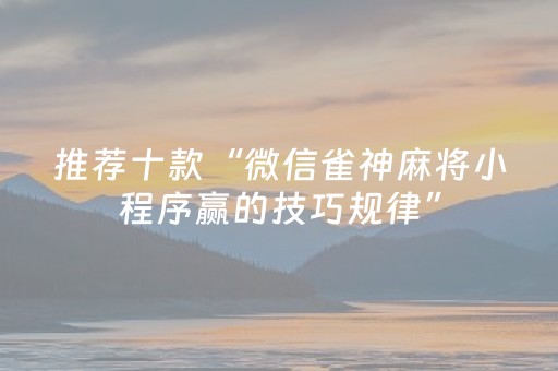 终于发现了“微乐麻将神器通用版（专用辅牌神器免安装）