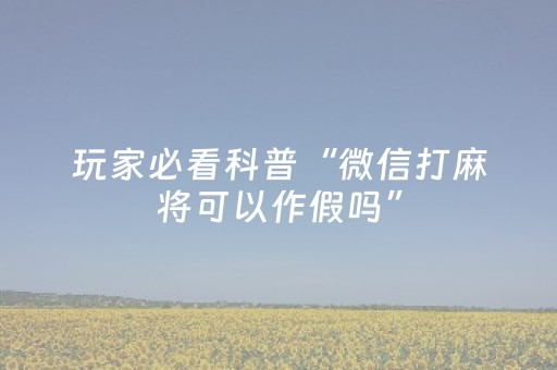 实测辅助“微乐湖南麻将专用神器”（详细透视教程）-哔哩哔哩