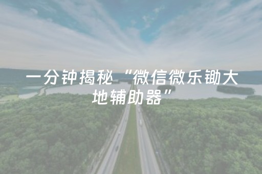一分钟揭秘“微信微乐锄大地辅助器”（自建房怎么赢)