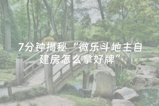 7分钟揭秘“微乐斗地主自建房怎么拿好牌”（开挂神器下载)