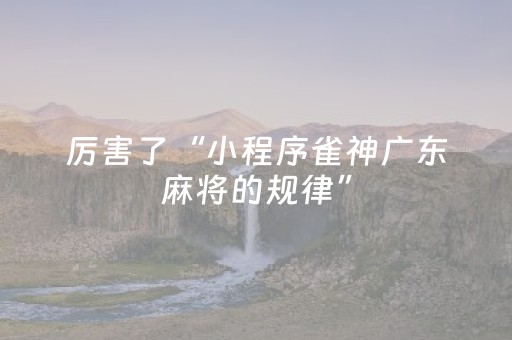 3分钟学会“广东雀神麻雀辅助器免费安装（助赢神器通用版）