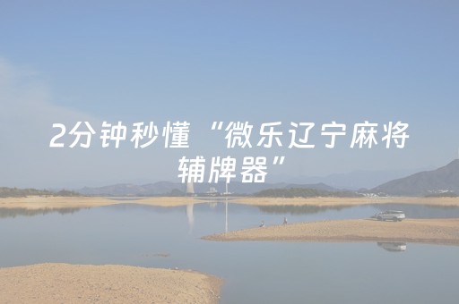我来教大家“麻将机胡牌神器不用安装的（助赢神器通用版）