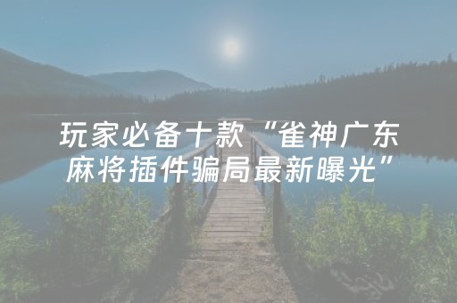 玩家必看攻略“兴动麻将漏牌器（专用辅牌神器免安装）
