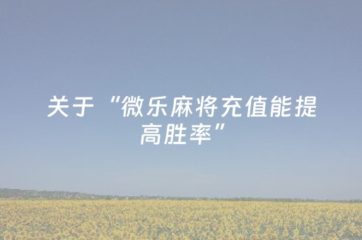 玩家实测“微乐湖南麻将专用神器（助赢神器通用版）