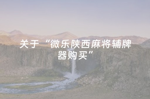 关于“微乐陕西麻将辅牌器购买”（输赢规律)