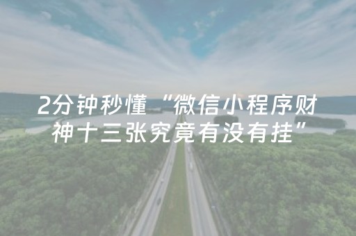 玩家必备教程“微乐安徽麻将跑得快有挂吗（专用辅牌神器免安装）