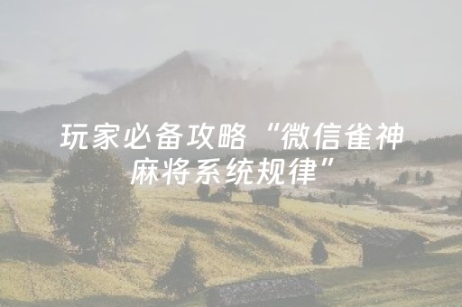 实测分享“小程序麻将控牌”（详细透视教程）-哔哩哔哩
