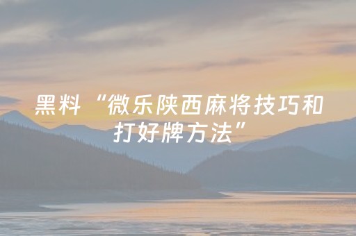 必看教程“微乐广东麻将插件购买（助赢神器通用版）
