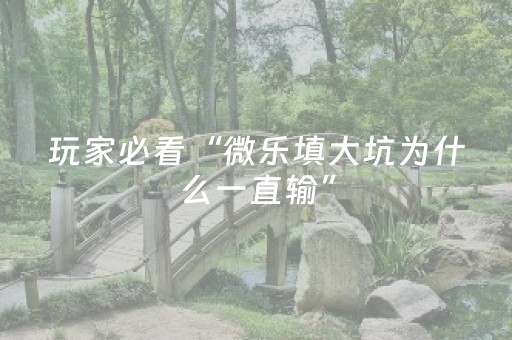 必看教程“微乐麻将有挂吗（专用辅牌神器免安装）