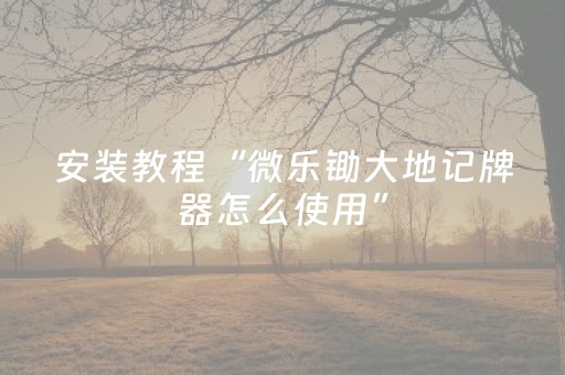 实测结果“手机金花透明辅助插件安装（助赢神器通用版）