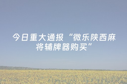 玩家实测“微乐麻将系统发牌规律（助赢神器通用版）