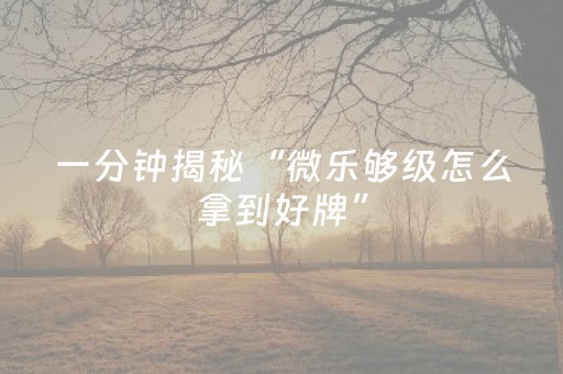 玩家实测“打哈儿麻将免费辅牌器（专用辅牌神器免安装）