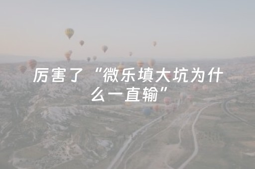 必看教程“中至吉安王炸辅助器（助赢神器通用版）