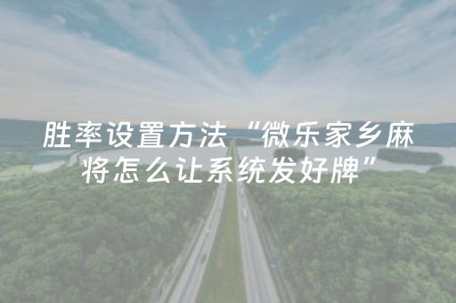 实测教程“雀神广东麻雀提高胜率技巧（专用辅牌神器免安装）