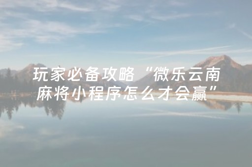 分享辅助“微乐怎么让系统发好牌（专用辅牌神器免安装）