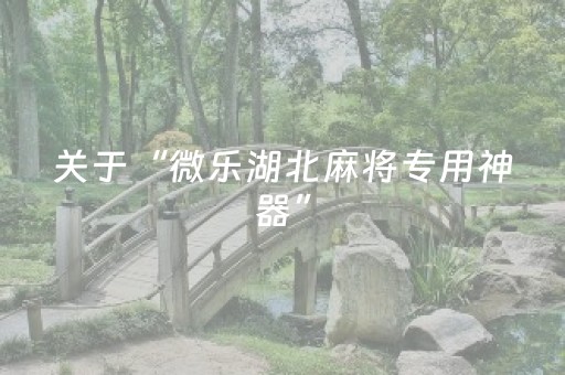 终于发现“棋牌室普通机万能遥控器（助赢神器通用版）