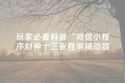 实测教程“微乐广东麻将免费专用神器（助赢神器通用版）
