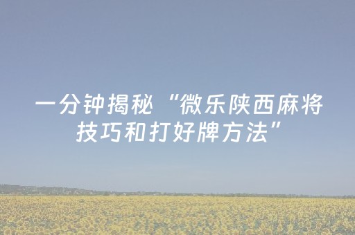 教程辅助“微乐河北麻将自建房输赢规律（专用辅牌神器免安装）