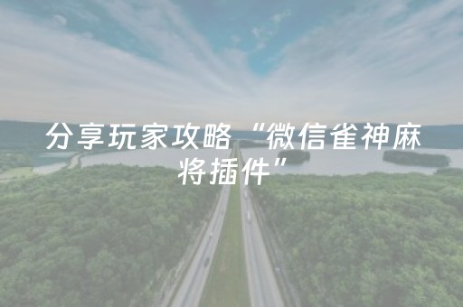 分享辅助“普通麻将机手机控牌器下载（专用辅牌神器免安装）