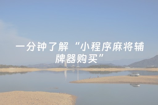 玩家必备教程“微乐河南麻将赢牌的技巧（助赢神器通用版）