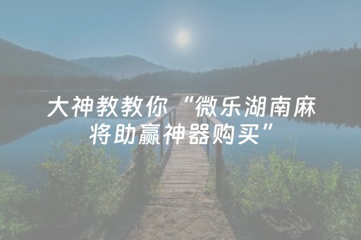 玩家必备教程“微乐跑得快专用神器（专用辅牌神器免安装）