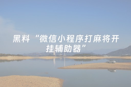 终于发现“微乐游戏怎么才能让系统发好牌（专用辅牌神器免安装）