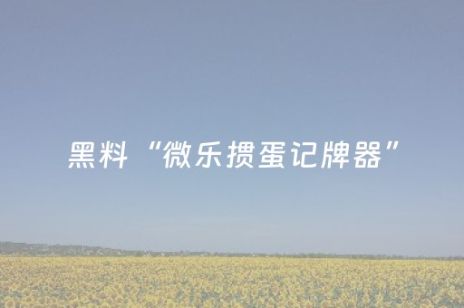 2分钟秒懂！“中至麻将助赢神器”（详细辅助教程）-哔哩哔哩