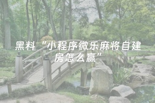 实测辅助“微乐吉林麻将有挂吗（专用辅牌神器免安装）