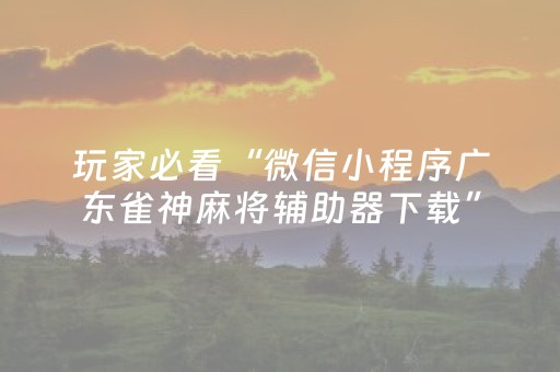 实测结果“微乐河南麻将有挂吗（专用辅牌神器免安装）