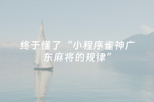 教程辅助“手机跑得快辅助器通用版（专用辅牌神器免安装）