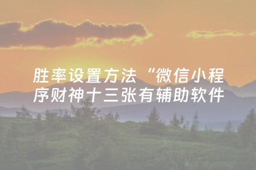 实测教程“广东雀神插件安装包（专用辅牌神器免安装）