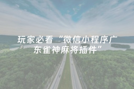 新版本“谁买过普通麻将机解码器”（详细透视教程）-哔哩哔哩