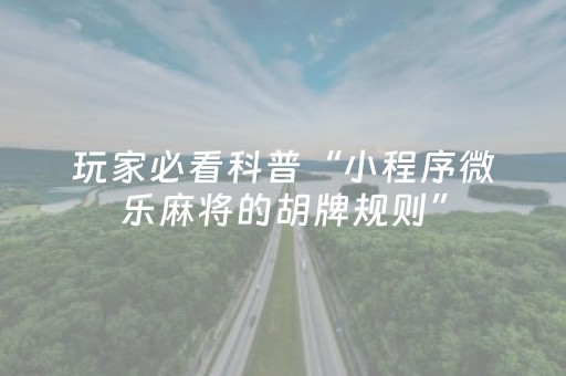 玩家必备教程“微乐捉鸡麻将铺牌器购买”（详细透视教程）-哔哩哔哩