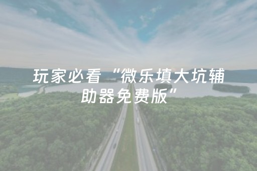教程辅助“微乐广东麻将神器（专用辅牌神器免安装）