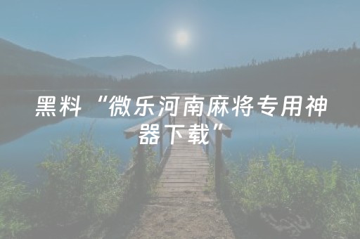 玩家必备教程“陕麻圈辅助器安装（专用辅牌神器免安装）